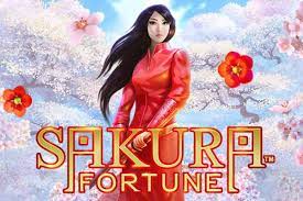 Sakura Fortune 