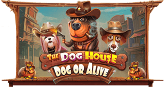 The Dog House – Dog or Alive(未公表）